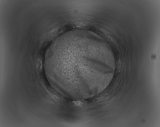 X0000091220703200708231631