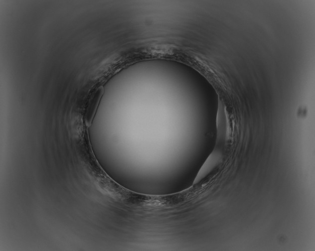 X0000091220704200708231631