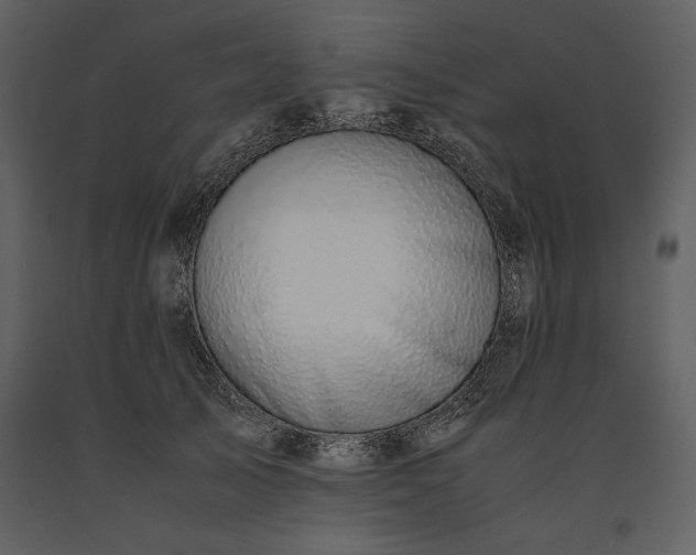 X0000091220705200708231631