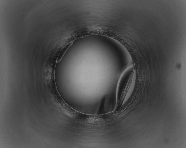 X0000091220708200708231631