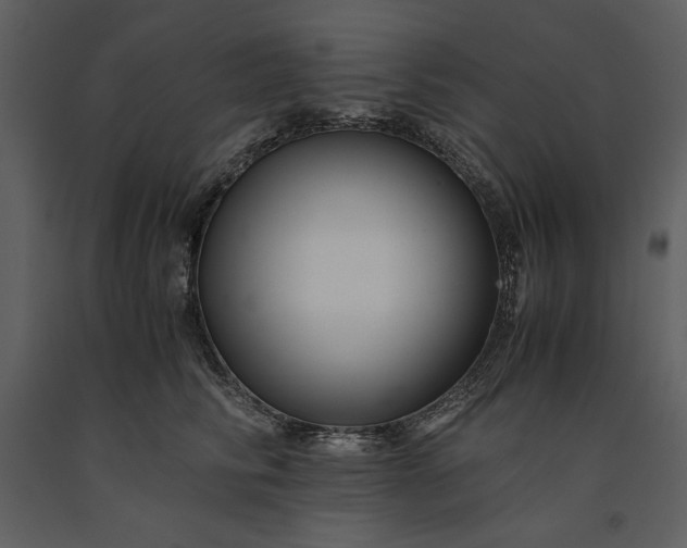 X0000091220710200708231631