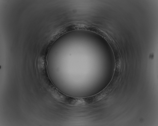 X0000091220715200708231631