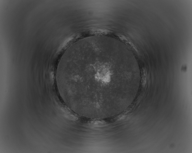 X0000091220716200708231631