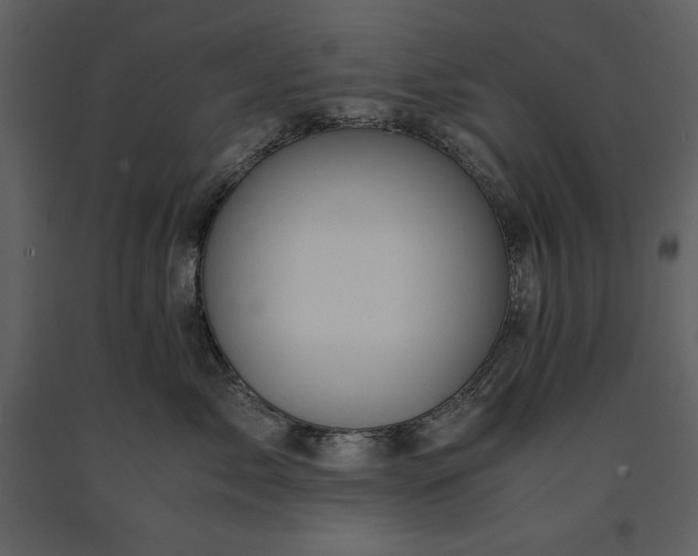 X0000091220717200708231631