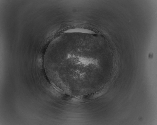 X0000091220720200708231631