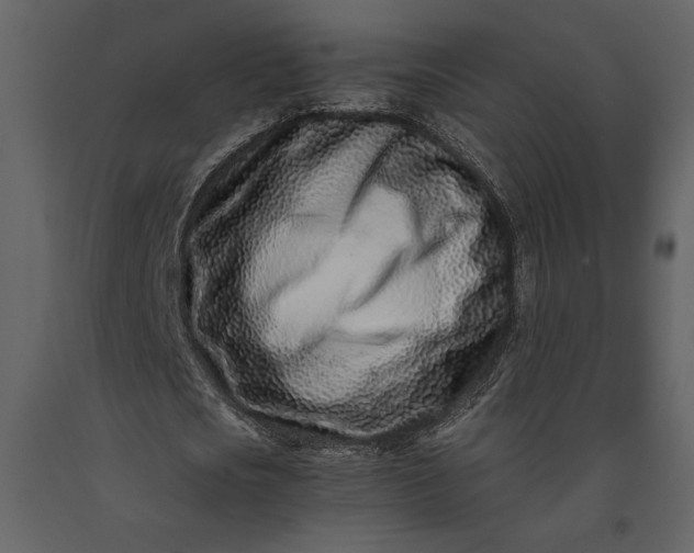 X0000091220721200708231630