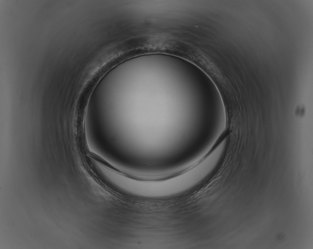 X0000091220722200708231630