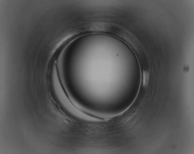 X0000091220723200708231630