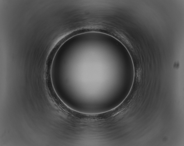 X0000091220724200708231630