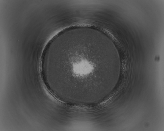 X0000091220726200708231630