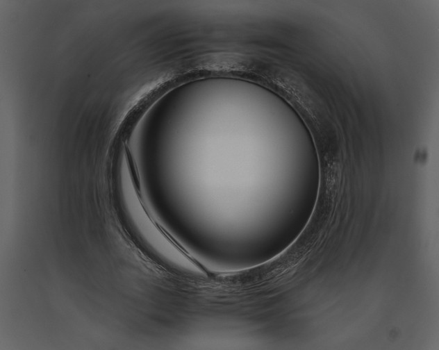 X0000091220727200708231630