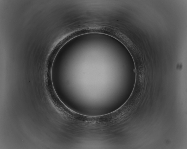 X0000091220728200708231630