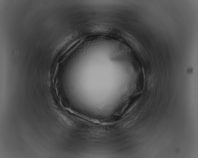 X0000091220729200708231630