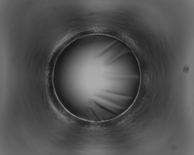 X0000091220730200708231630