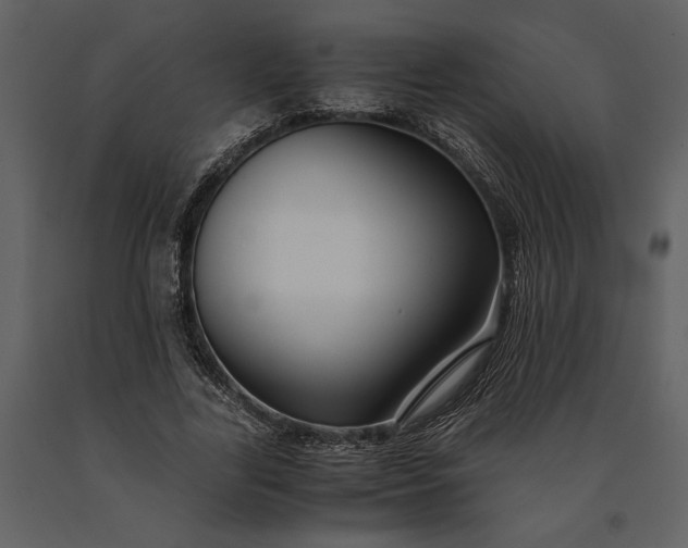 X0000091220731200708231630