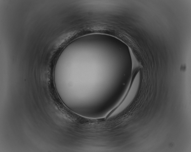 X0000091220732200708231630