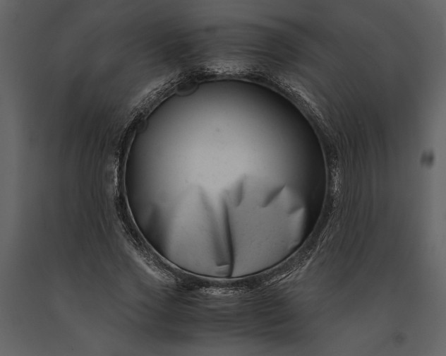 X0000091220733200708231630