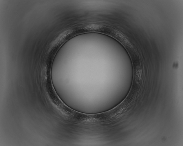 X0000091220734200708231630