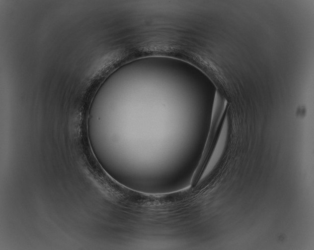 X0000091220735200708231630