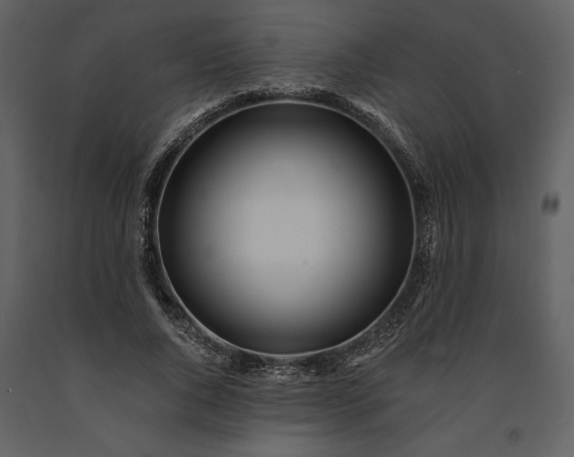 X0000091220736200708231630