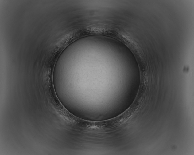 X0000091220737200708231630