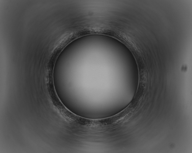 X0000091220738200708231630