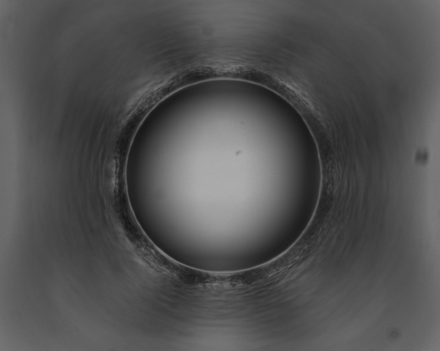 X0000091220740200708231630