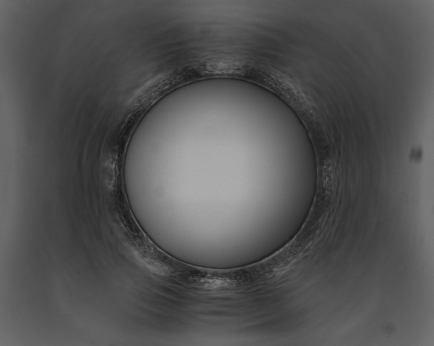 X0000091220741200708231630