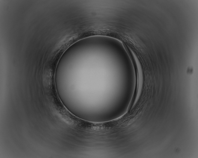 X0000091220744200708231630