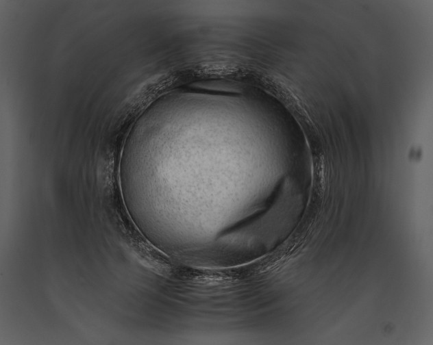 X0000091220745200708231630