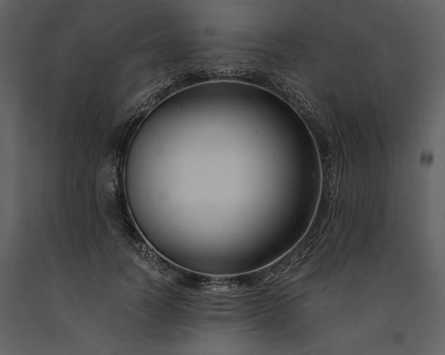 X0000091220746200708231630