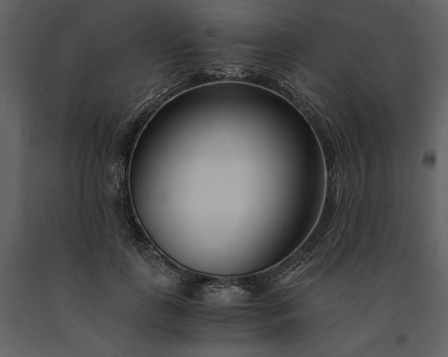 X0000091220747200708231630