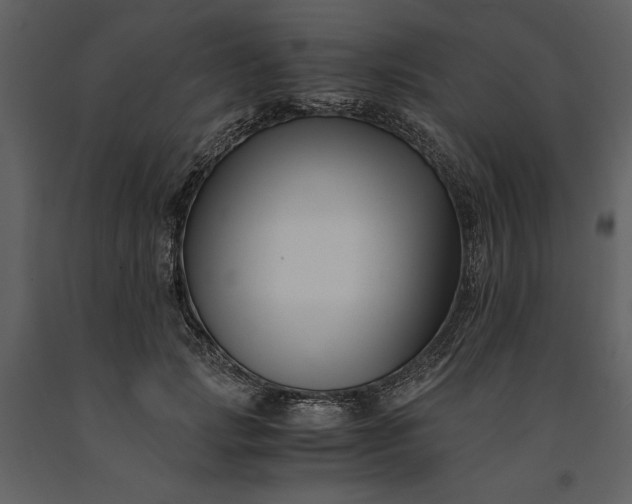 X0000091220749200708231630