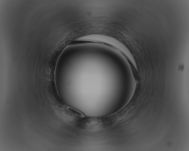 X0000091220750200708231630