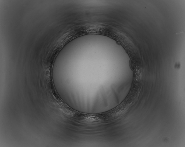 X0000091220753200708231630