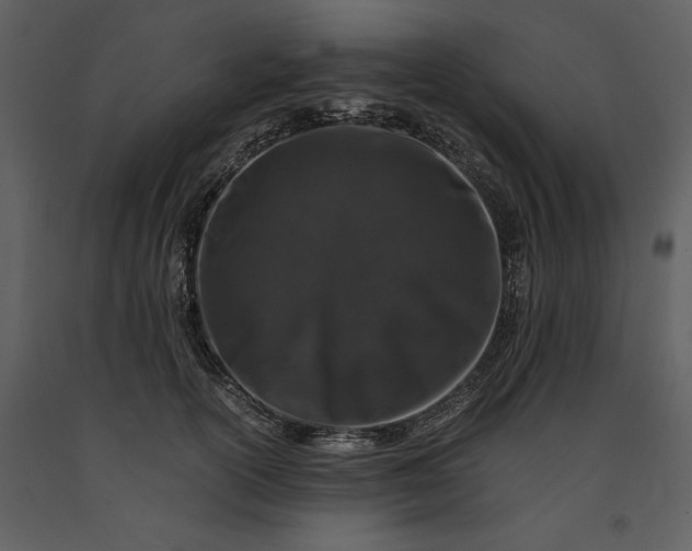 X0000091220754200708231630