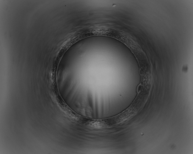 X0000091220755200708231630