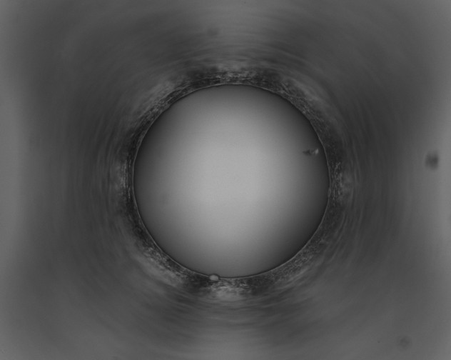 X0000091220756200708231630