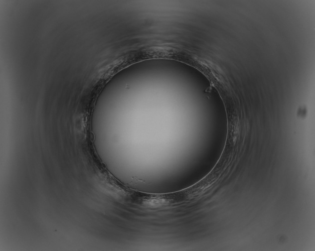 X0000091220759200708231630