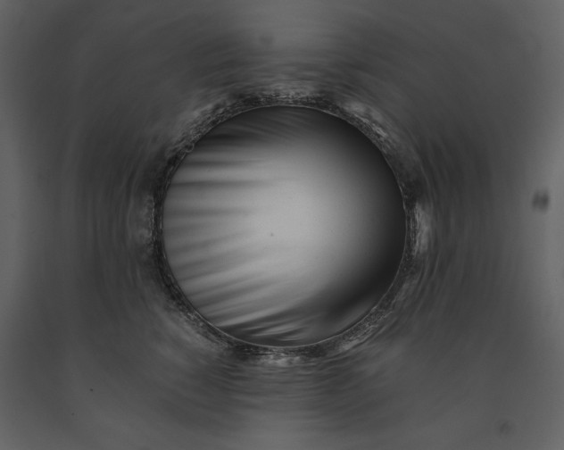 X0000091220760200708231630