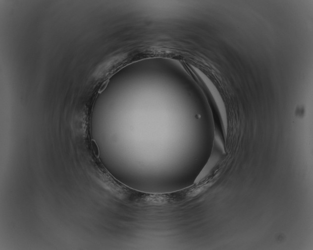 X0000091220762200708231630