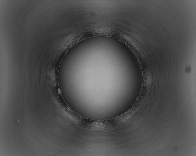 X0000091220764200708231631