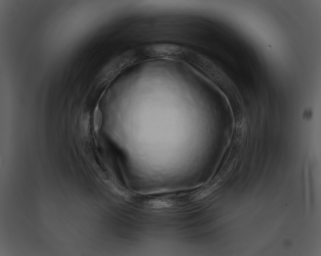 X0000091220765200708231631