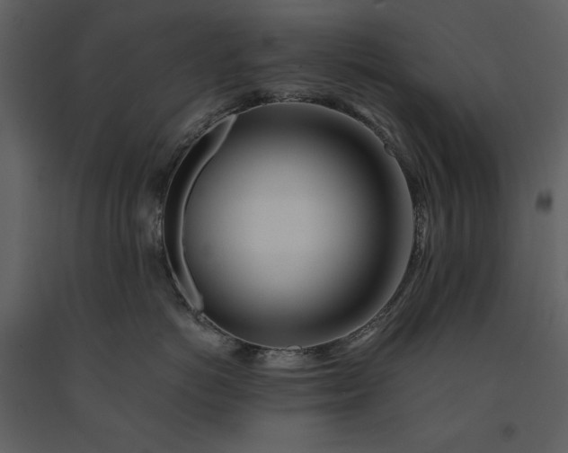 X0000091220766200708231631