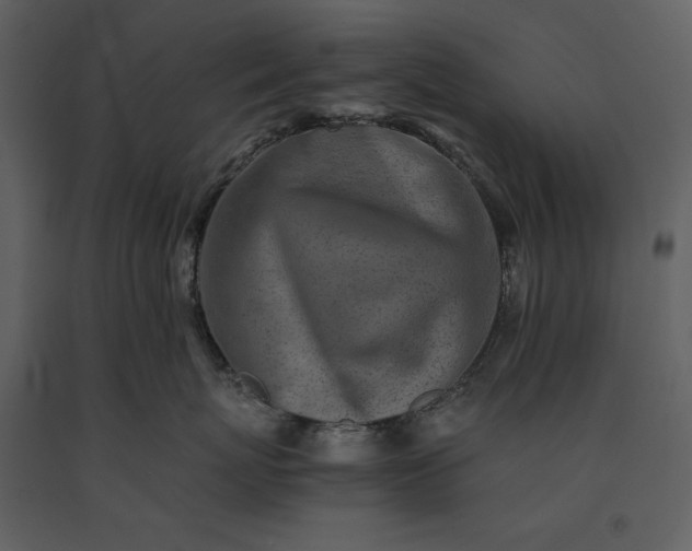 X0000091220767200708231631