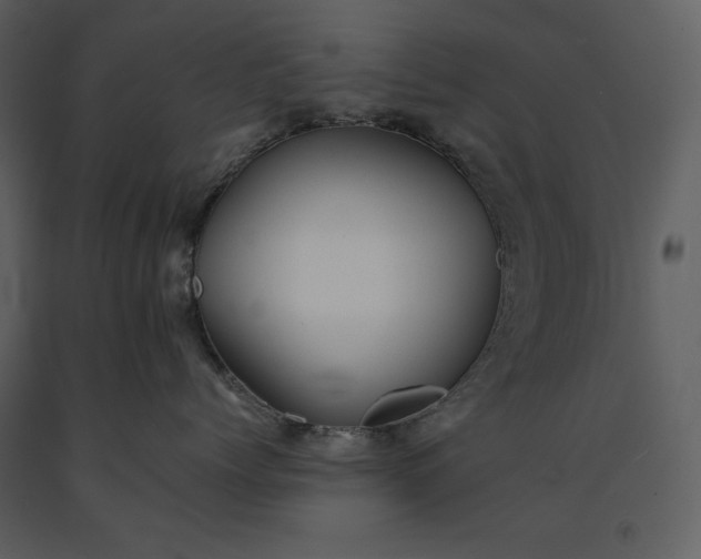 X0000091220768200708231631