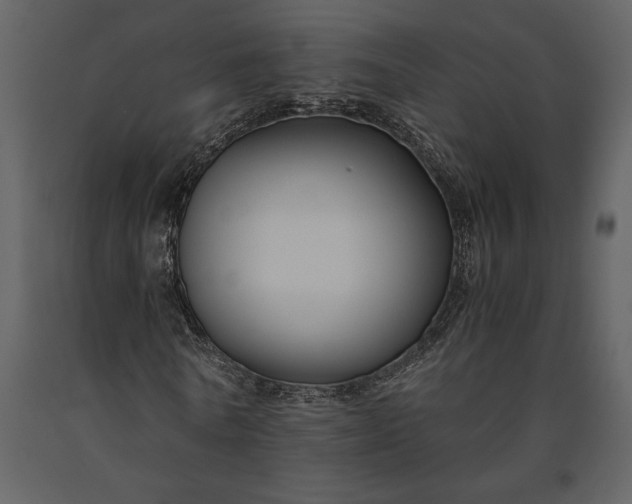 X0000091220770200708231630