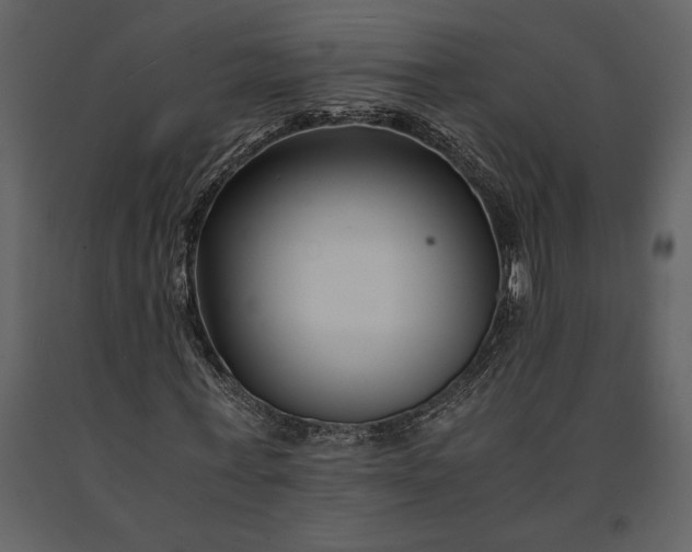 X0000091220771200708231630