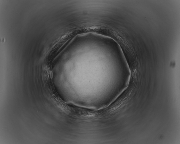 X0000091220772200708231630