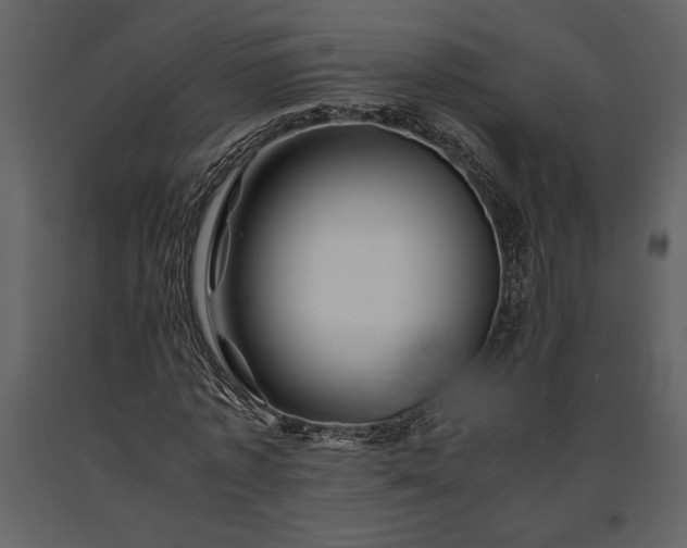 X0000091220773200708231630